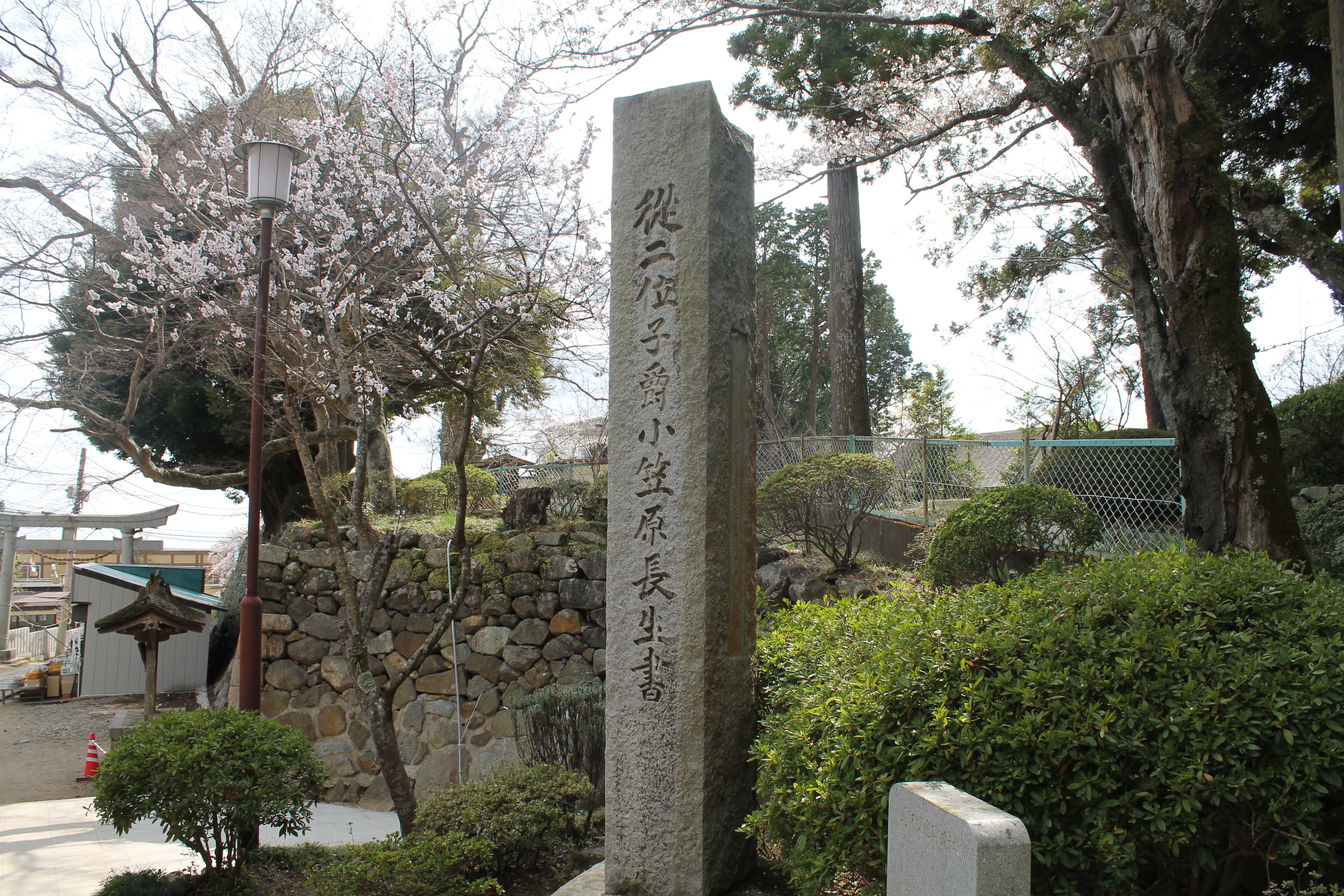 筑波山神社9 Life Of The Not So Magnificient Penttini